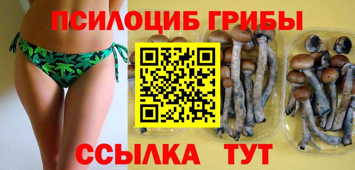 Псилоцибиновые грибы мухоморы Котельники